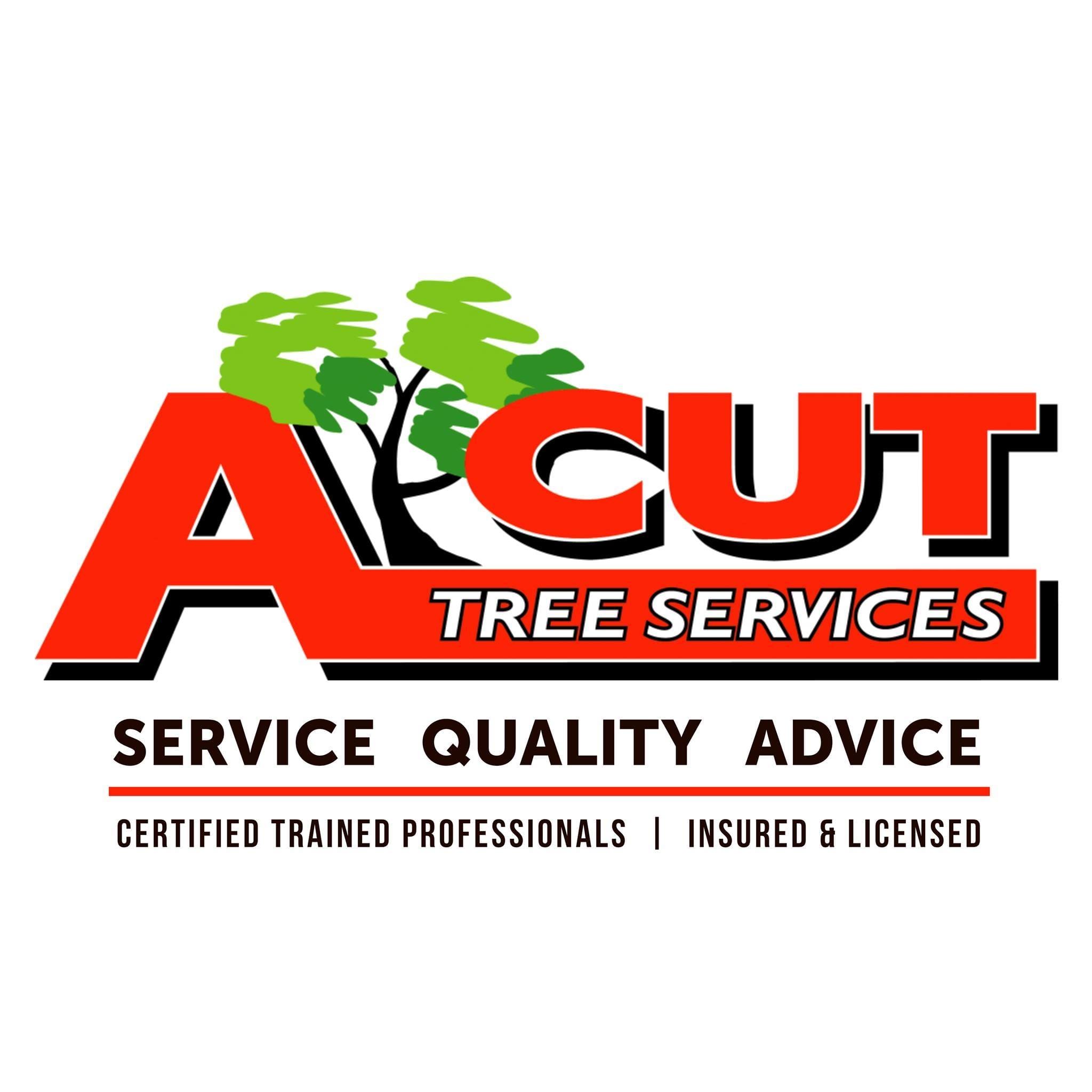 a-cut trees